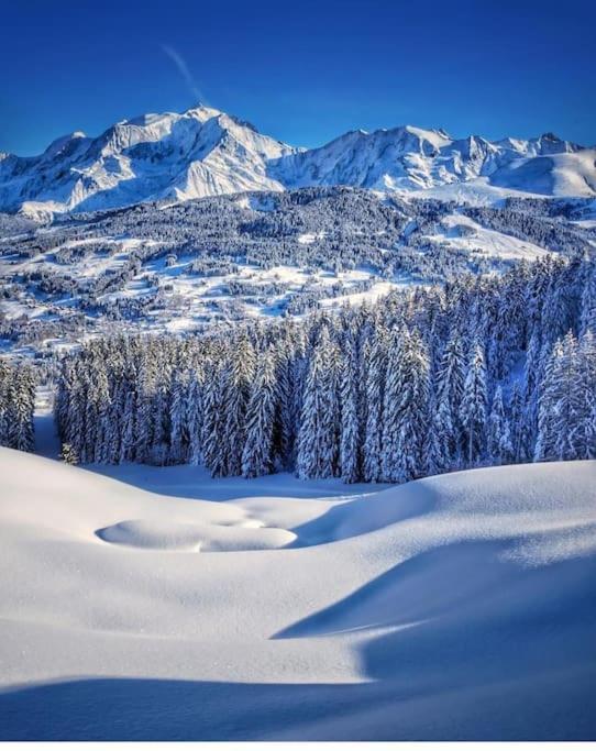 Logement A Megeve Avec Jardin Exterior photo